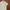 Polo Ralph Lauren Minimalist Polo Shirt Pria White