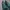 New Balance Vintage Sneakers Pria green photo 5