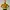 Marni Streetwear Casual Sweater Wanita brown yellow photo 8