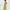 Marni Streetwear Casual Sweater Wanita brown yellow photo 4