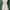 Fairy Coquette Casual dress Wanita pink photo 1
