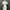 Coquette Casual Maxi dress Wanita cream photo 1