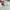 Oakley Streetwear Sportswear Sunglass Pria silver photo 1