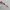 Oakley Streetwear Sportswear Sunglass Pria silver photo 3