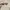 Nike Streetwear Y2K Sunglass Pria multicolor black photo 2