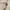 Nike Streetwear Y2K Sunglass Pria multicolor black photo 4