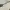 Nike Streetwear Y2K Sunglass Pria multicolor black photo 6