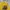 Vintage Y2K T-shirt Pria yellow photo 2