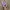 Cosplay Brief Pria brown photo 3