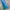 Cosplay Brief Pria blue photo 3