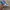 Cosplay Brief Pria blue photo 4