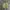 Baracuta Casual Harrington jacket Pria tan cream photo 1