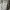 Baracuta Casual Harrington jacket Pria tan cream photo 5