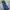 Cosplay Brief Pria green blue photo 3