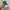 Cosplay Brief Pria green blue photo 4
