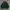 Baracuta Casual Harrington jacket Pria green photo 1