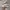 Reebok Casual Sneakers Pria gray photo 1