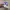 Cosplay Brief Pria purple blue photo 4