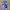 Cosplay Brief Pria purple blue photo 3