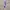 Cosplay Brief Pria purple blue photo 2