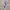 Cosplay Brief Pria Purple Blue