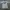 Sean John Streetwear Y2K Casual shirt Pria gray photo 2