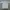 Sean John Streetwear Y2K Casual shirt Pria gray photo 5