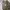 Adidas Casual Sneakers Pria gray photo 4