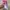 Cosplay Brief Pria purple pink photo 4