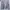 Guess Streetwear Sweatshirt Pria gray photo 1