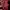 Champion Streetwear Casual Hoody Pria burgundy photo 3
