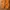 Shein Streetwear Gorpcore Pria orange photo 5