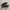 Adidas Indie Casual Sneakers Pria white black photo 1