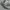Nike Sportswear Minimalist Sneakers Pria silver photo 2