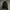 Alpha Industries Vintage Y2K Parka Pria black photo 1