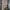 Fear of God Streetwear Minimalist Hoody Pria tan brown photo 4