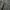 Fear of God Streetwear Minimalist Hoody Pria tan brown photo 3