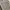 Carhartt Vintage Streetwear Short Pria gray photo 4