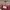Burberry Y2K Luxury Shoulder Bag Wanita Red