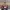 Burberry Y2K Luxury Shoulder bag Wanita red photo 1