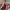 Burberry Y2K Luxury Shoulder bag Wanita red photo 3