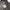 True Religion Y2K Indie High waisted jeans Wanita black photo 8