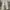 The North Face Gorpcore Pria cream photo 4