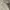 The North Face Gorpcore Pria cream photo 2