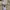 The North Face Gorpcore Pria cream photo 1