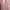 Coquette Cardigan Wanita multicolor pink photo 2