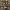 ZARA Casual T-shirt Kids brown photo 4