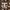 ZARA Casual T-shirt Kids brown photo 3
