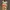 Casual T-shirt Kids multicolor photo 1