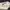 ZARA Casual T-shirt Kids cream photo 4
